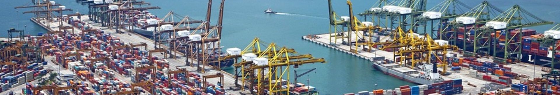 Mercado global alimenticio