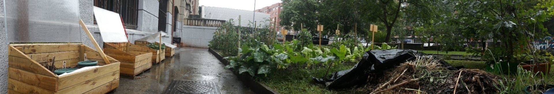 Invernadero semillero II