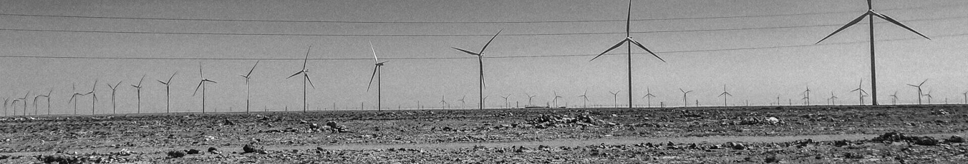 Territorios Ocupados-Encabezado noticia