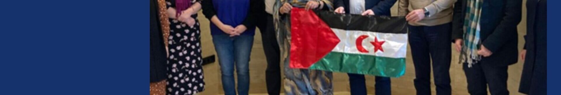 DECLARACI&Oacute;N INSTITUCIONAL  SAHARA 50 A&Ntilde;OS