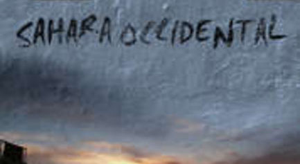 Presentaci&oacute;n Libro: "Sahara Occidental; la persistencia de las Violaciones de los Derechos de un Pueblo"